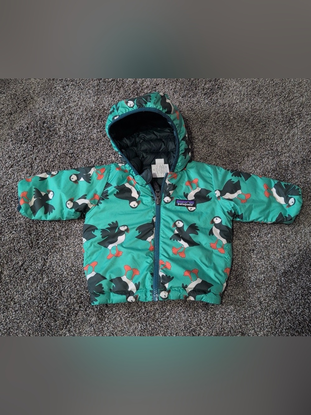 Patagonia Reversible Hooded Puffer Jacket